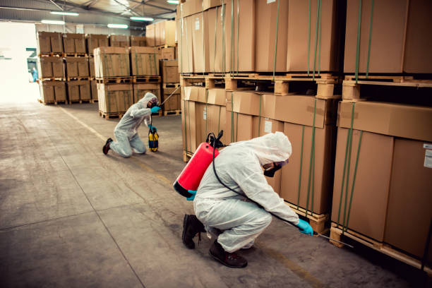 Best Pest Control for Homes  in Ashley, PA