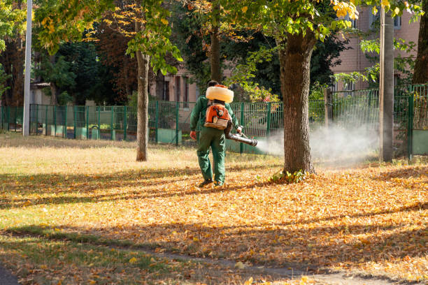 Best Cockroach Control Services  in Ashley, PA