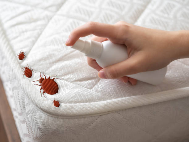 Best Pest Control Near Me  in Ashley, PA