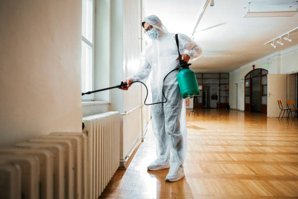 Best Affordable Pest Control Services  in Ashley, PA
