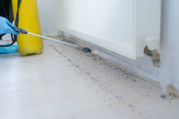 Best Commercial Pest Control Services  in Ashley, PA