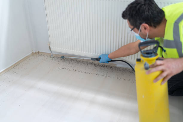 Best Residential Pest Control  in Ashley, PA